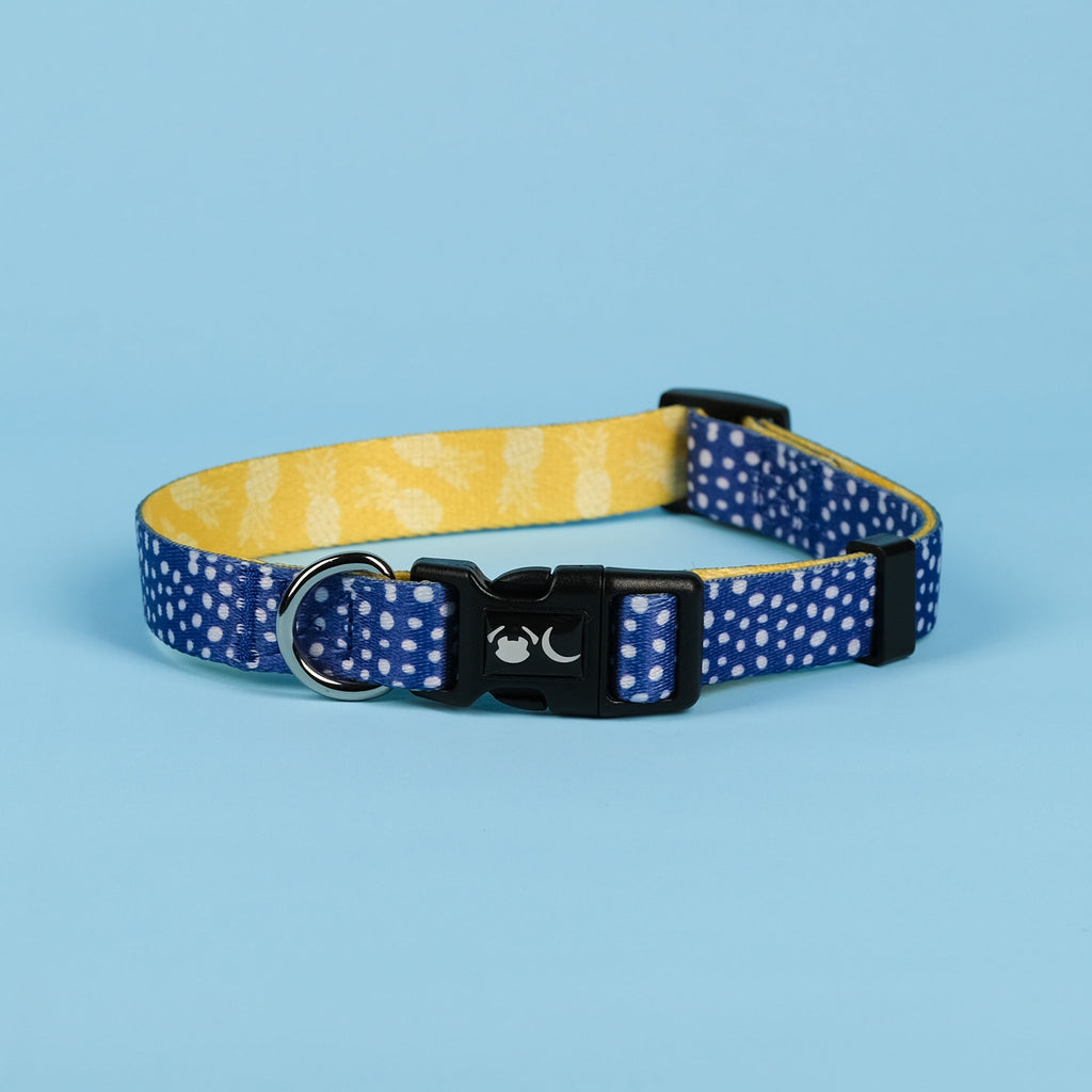 Minnie Dog Collar in Blue Polka Dot and Yellow