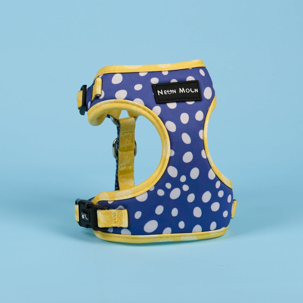 Minnie Mesh Harness in Blue Polka Dot and Yellow Pineapple