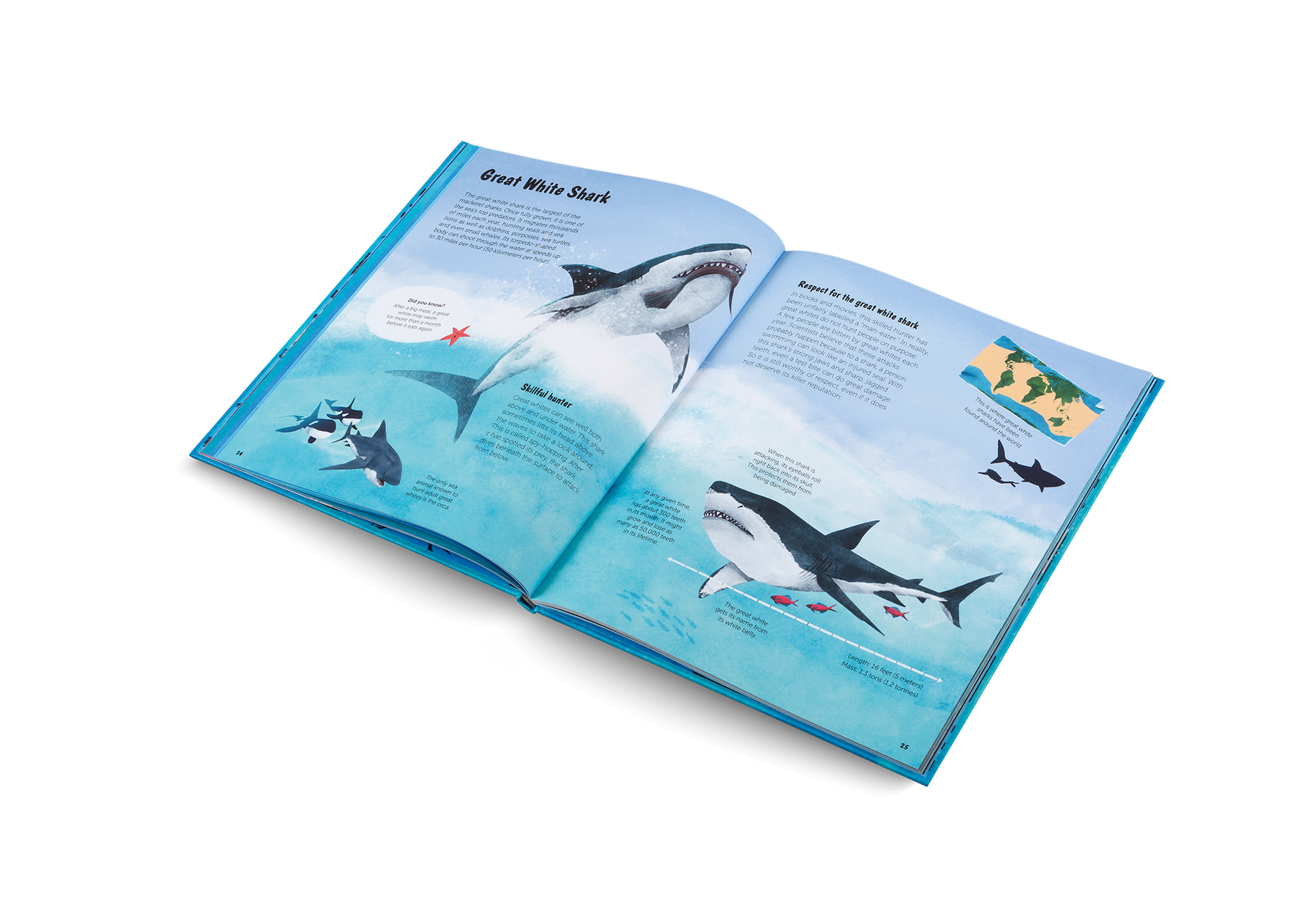 The World of Sharks