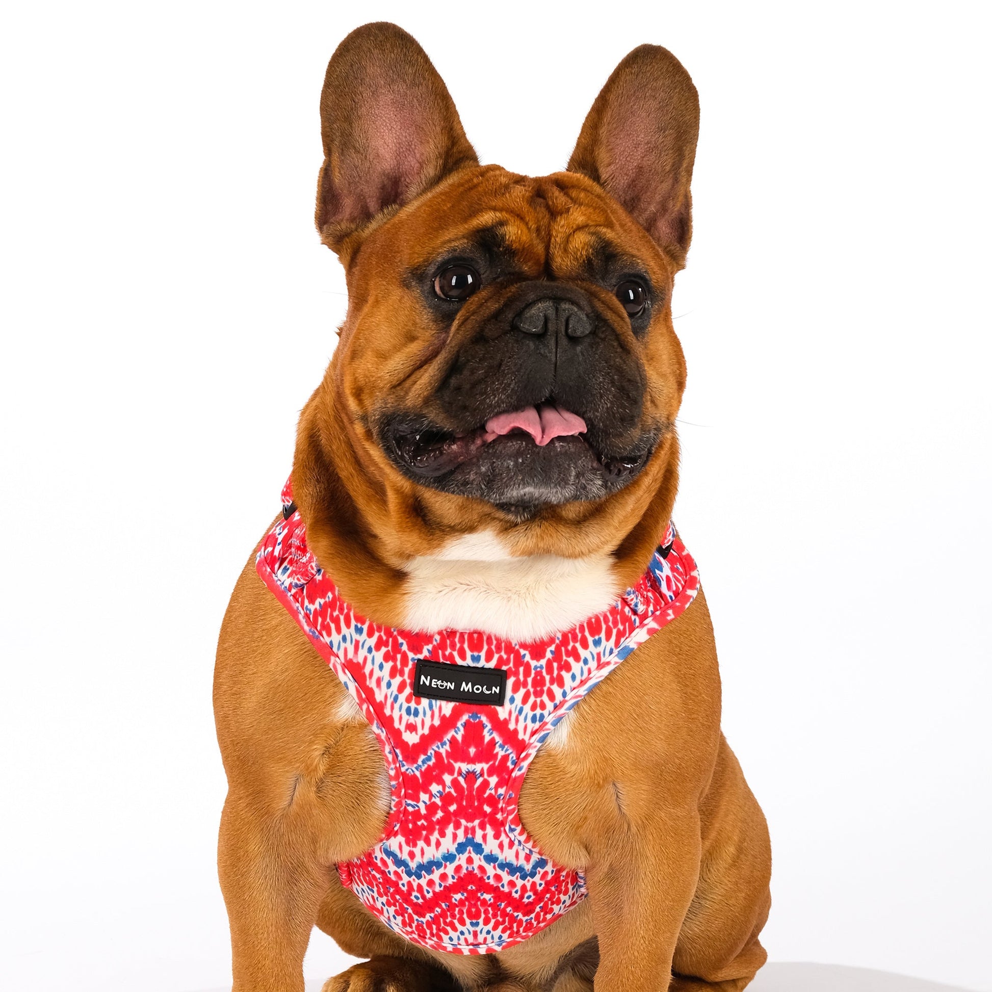 Mesh Pet Harness in Red and Blue Chevron