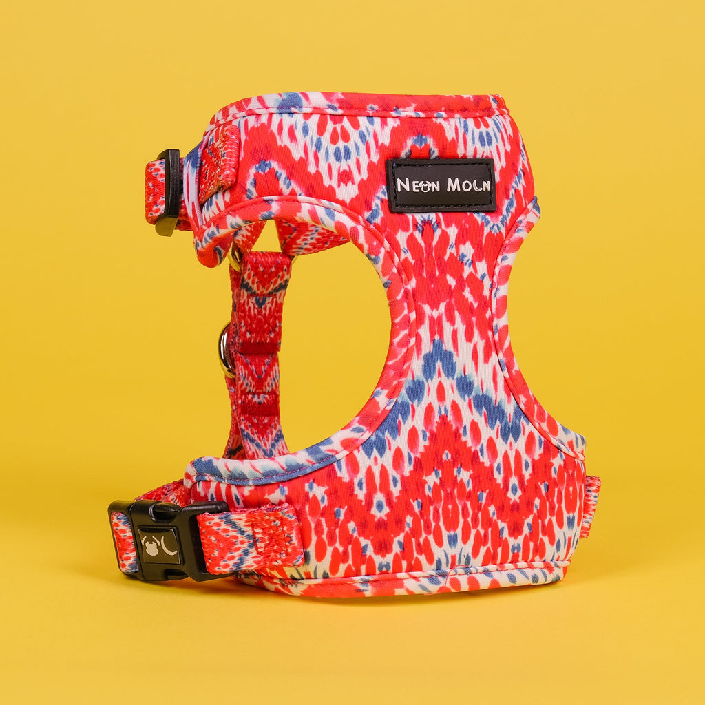 Mesh Pet Harness in Red and Blue Chevron