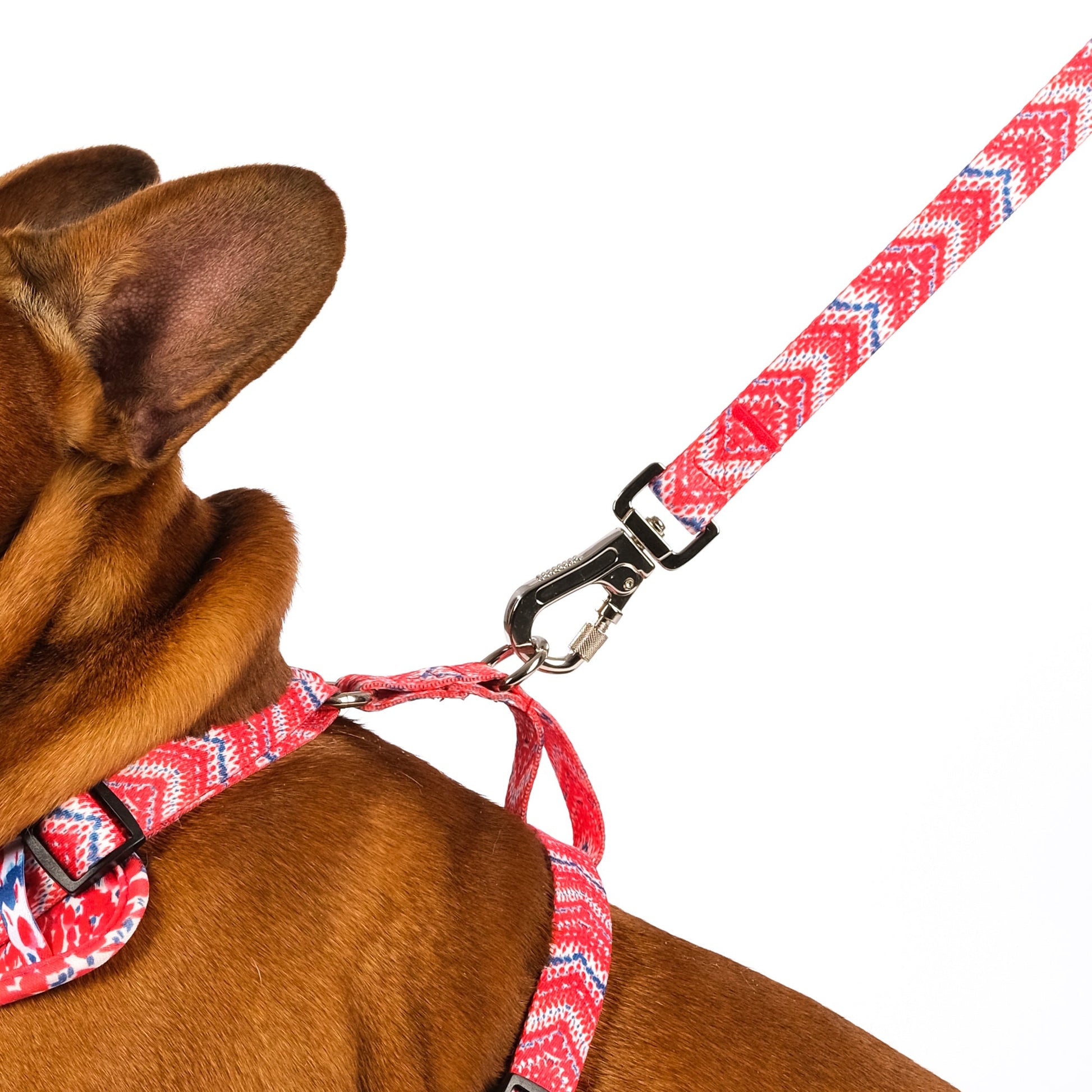 Red Chevron Dog Lead with Padded Handle