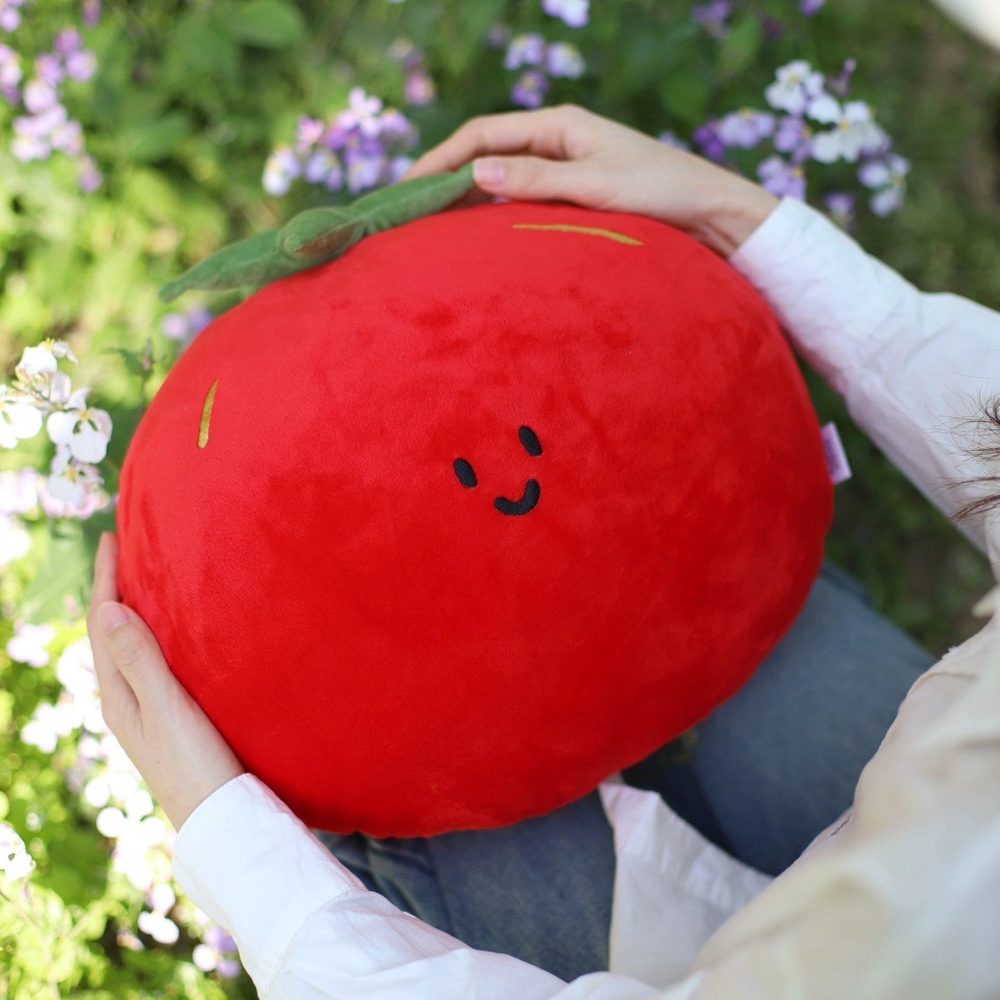 Tomato Plush Pillow in Red and Green