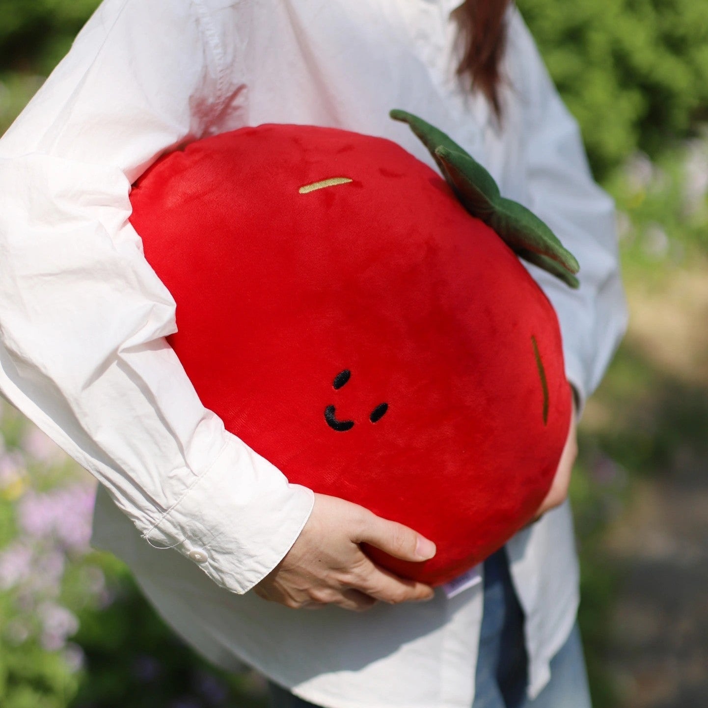 Tomato Plush Pillow in Red and Green