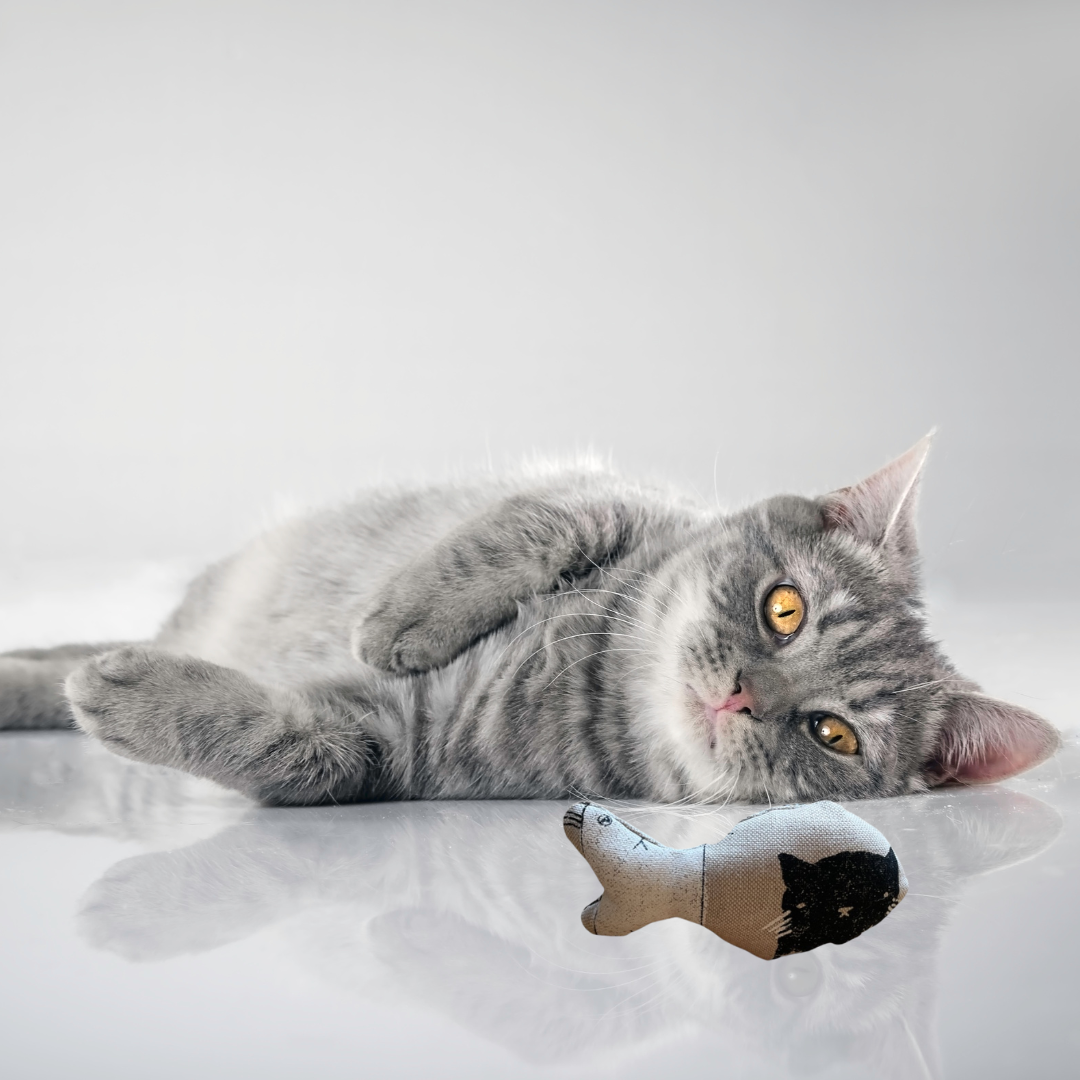 Fish Shaped Cat Toy with Natural Catnip