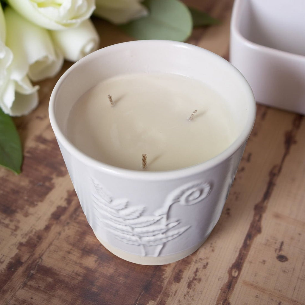 3-Wick Candle in White Ceramic Fern Pot