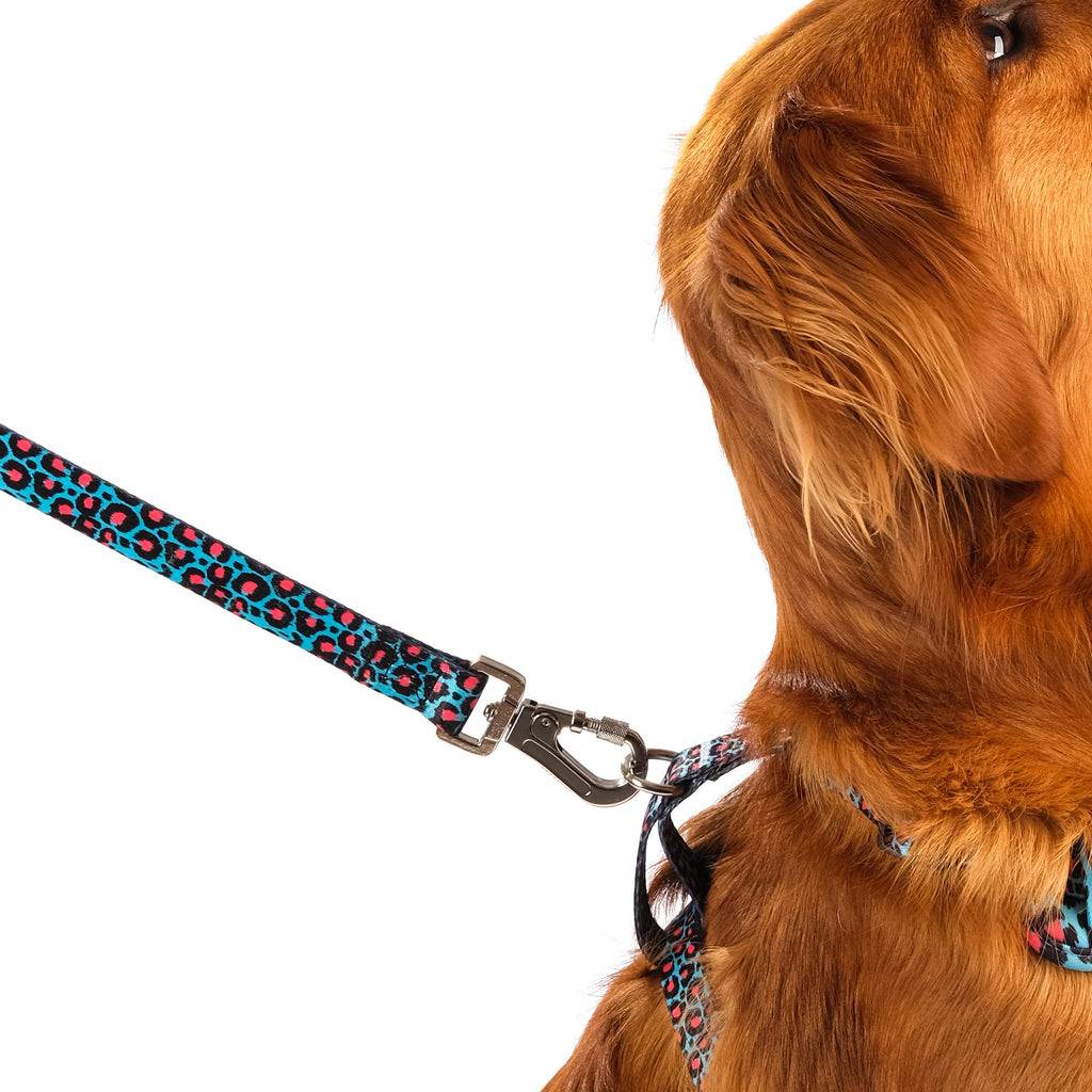 Willow Dog Lead with Padded Handle