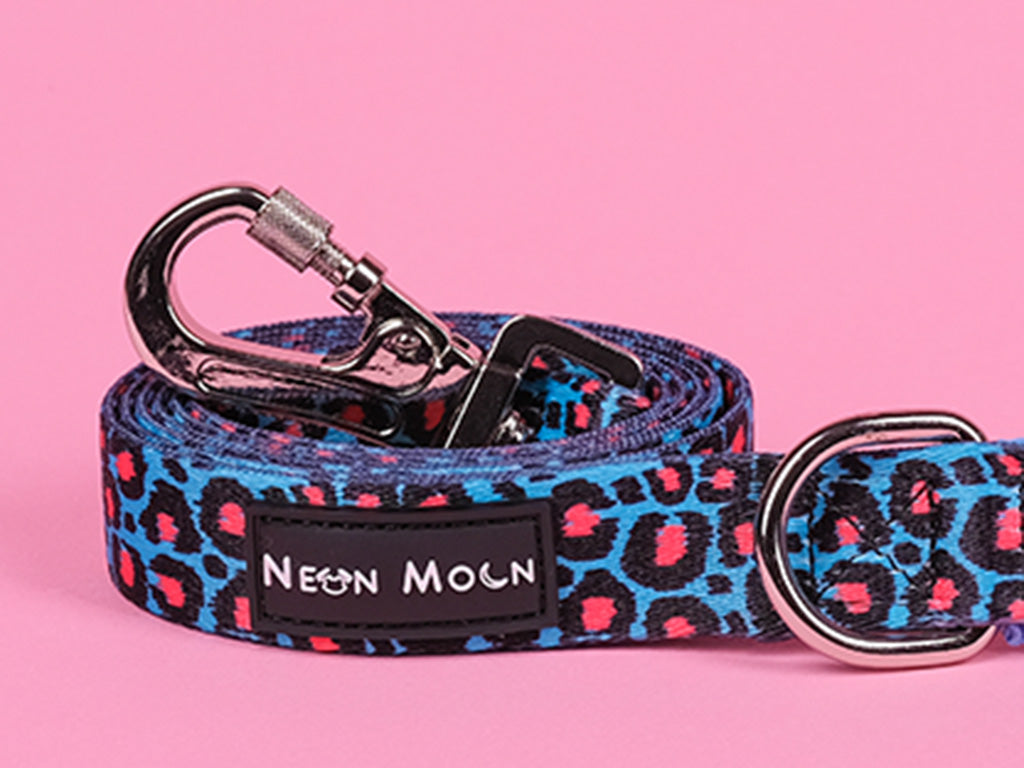 Willow Dog Lead with Padded Handle