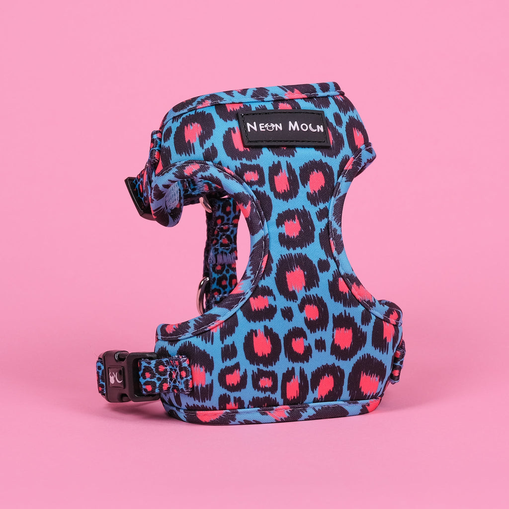 Mesh Pet Harness in Leopard Print Blue and Pink