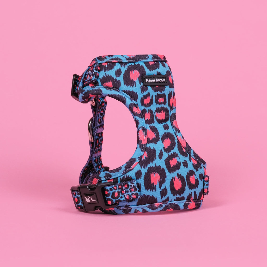 Mesh Pet Harness in Leopard Print Blue and Pink