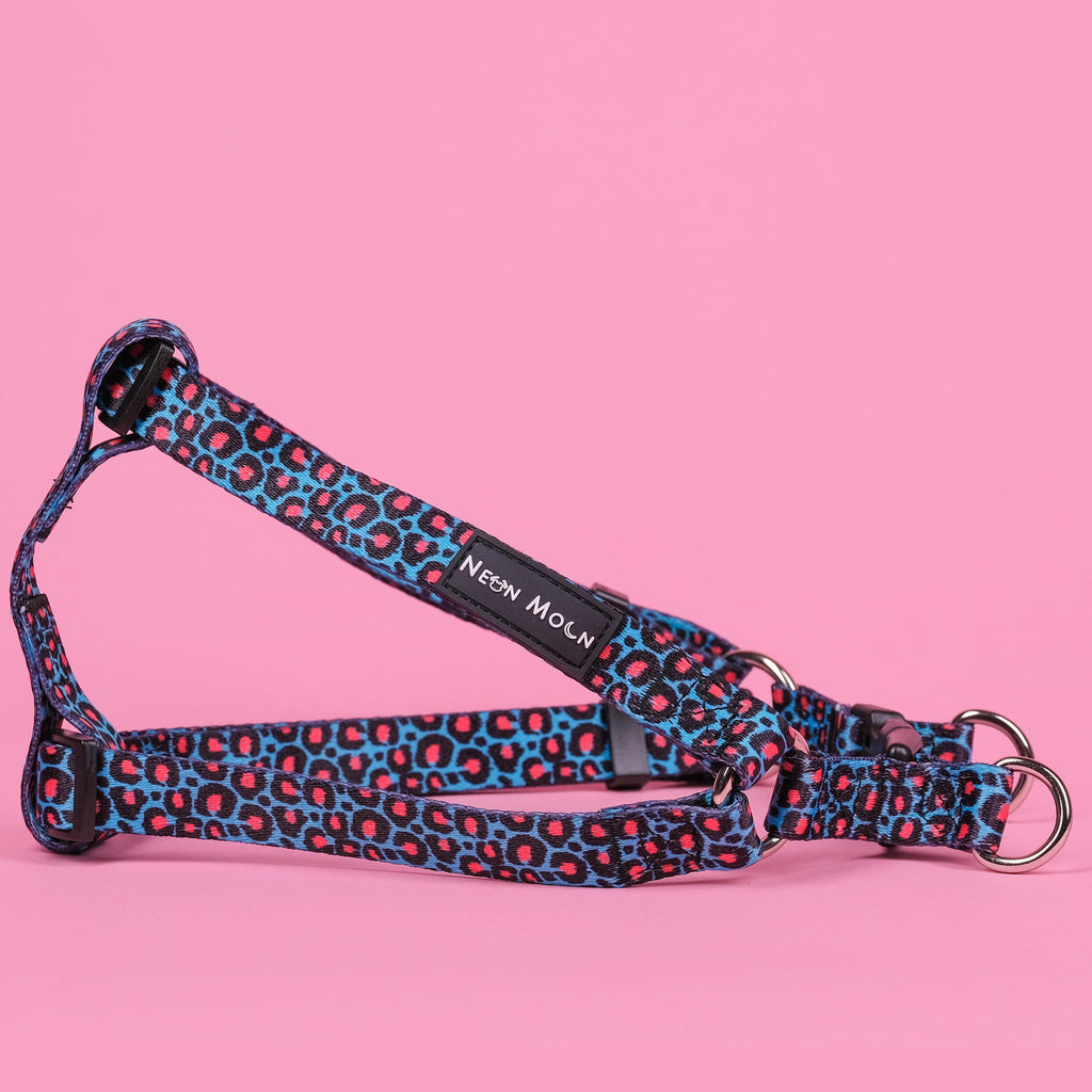 Willow Step In Harness Leopard Print Blue