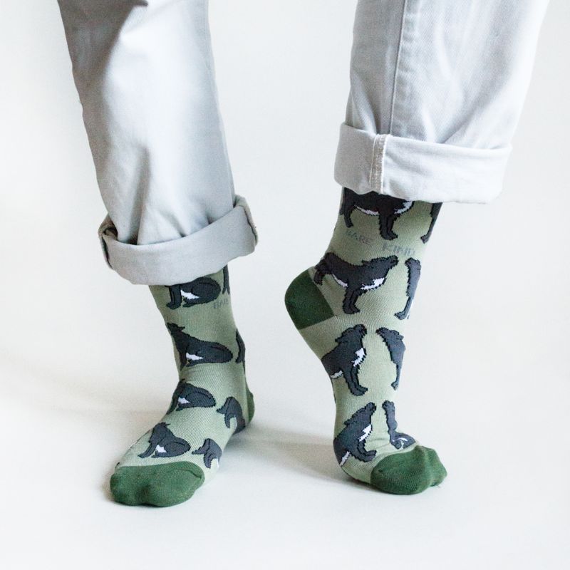 Green Lover 5 Bamboo Sock Set