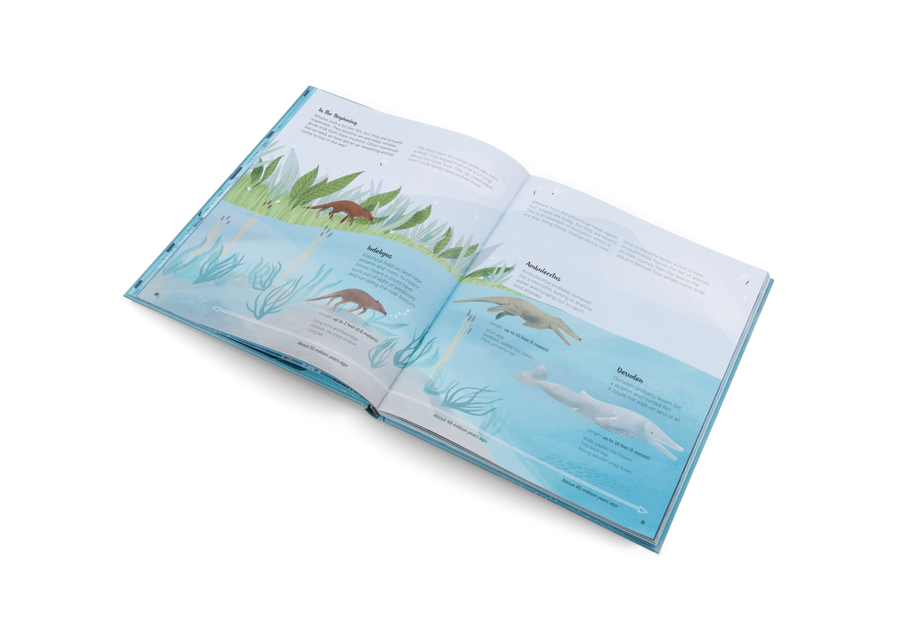 The World of Whales