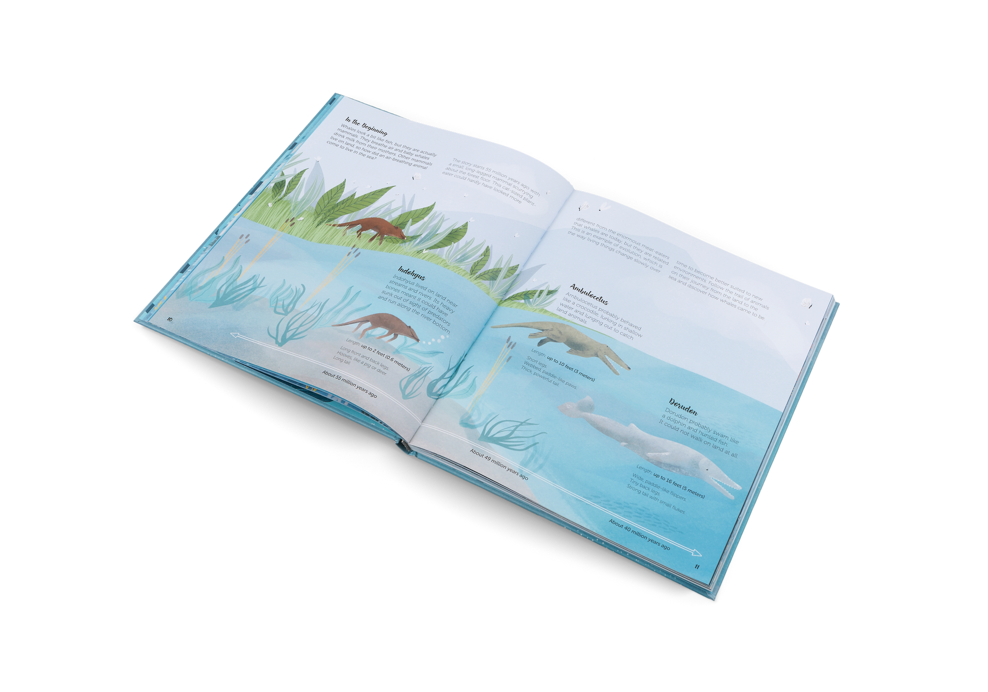 The World of Whales