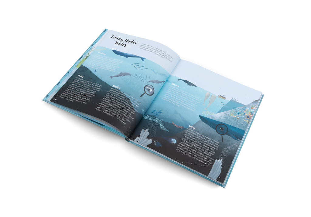The World of Whales