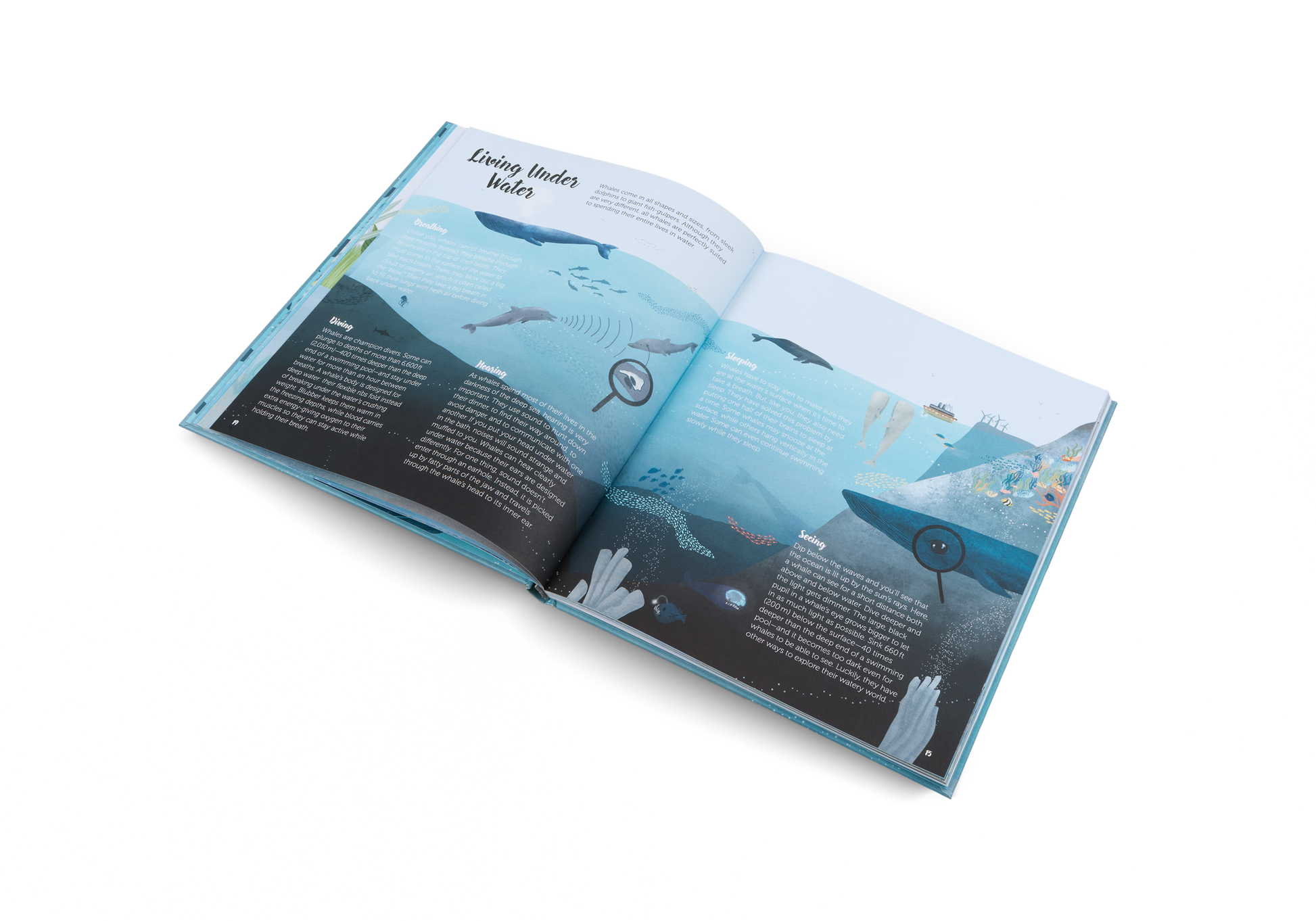 The World of Whales