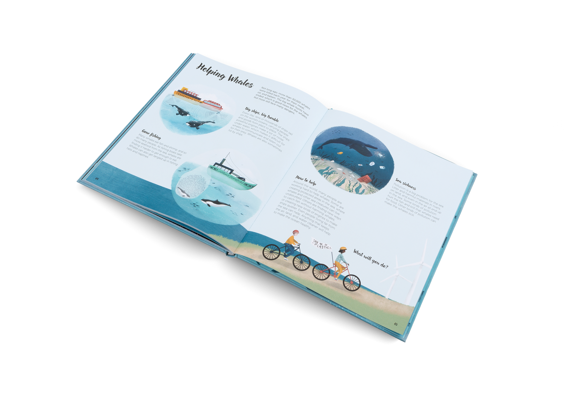 The World of Whales