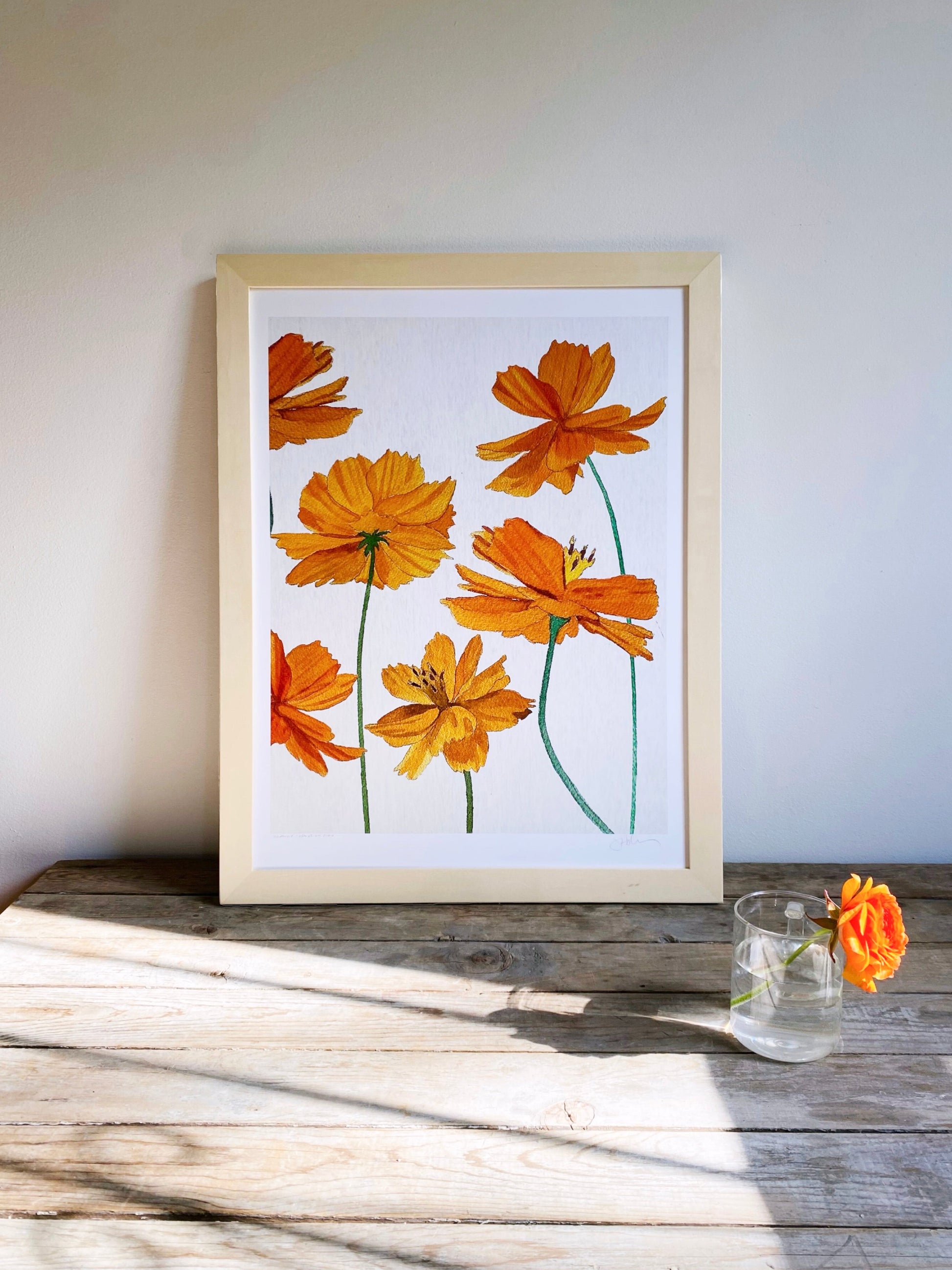 Orange Cosmos on Snow Art Print