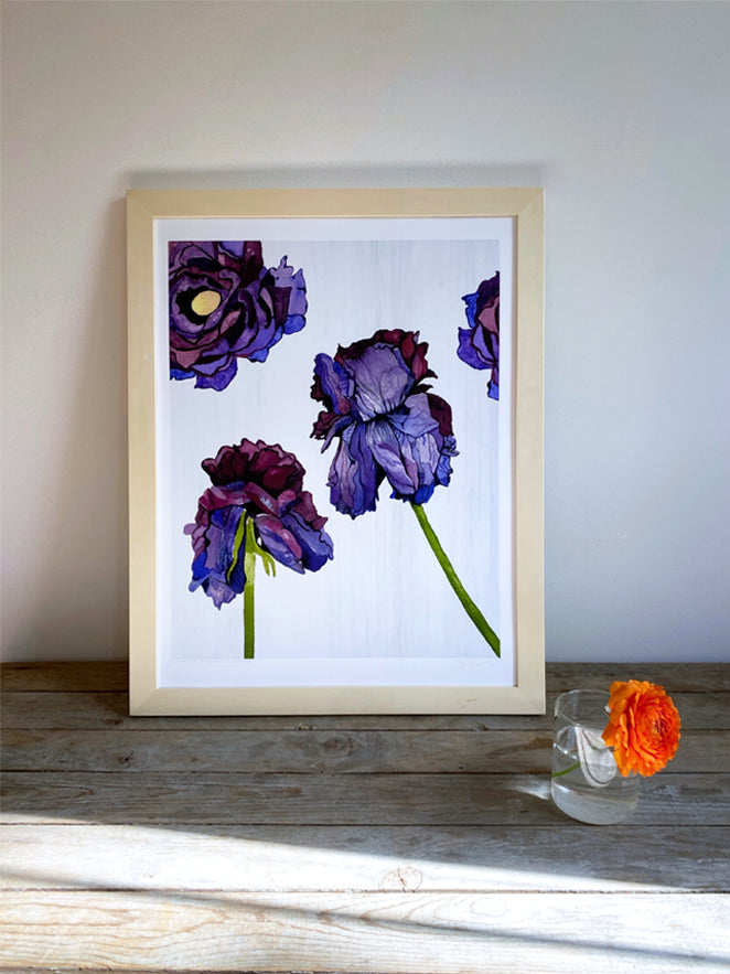 Withering Ranunculus Art Print on White