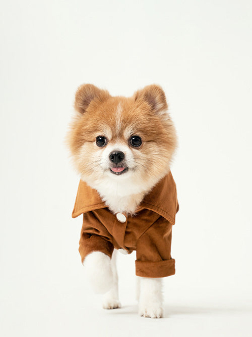 Stainway Shirt in Orange