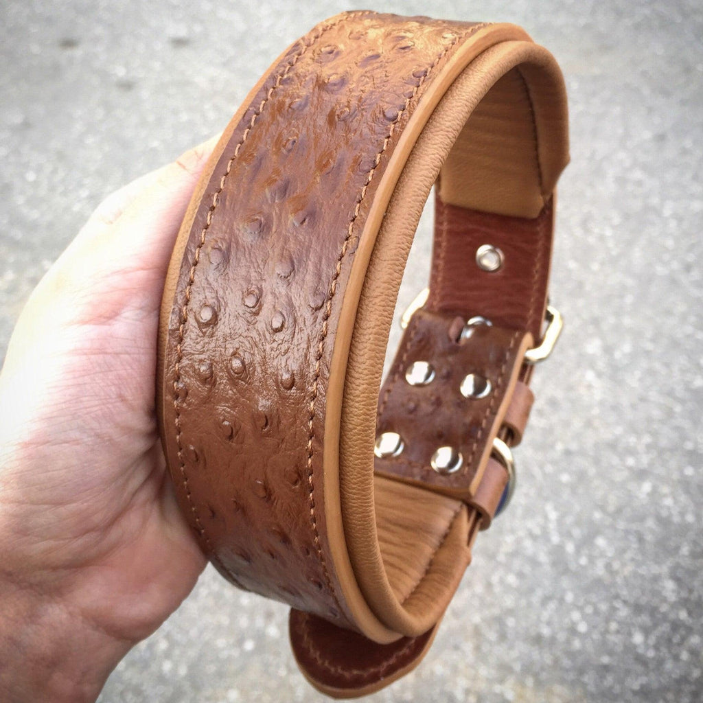 The Ostrich Collar Limited Edition Handmade Leather