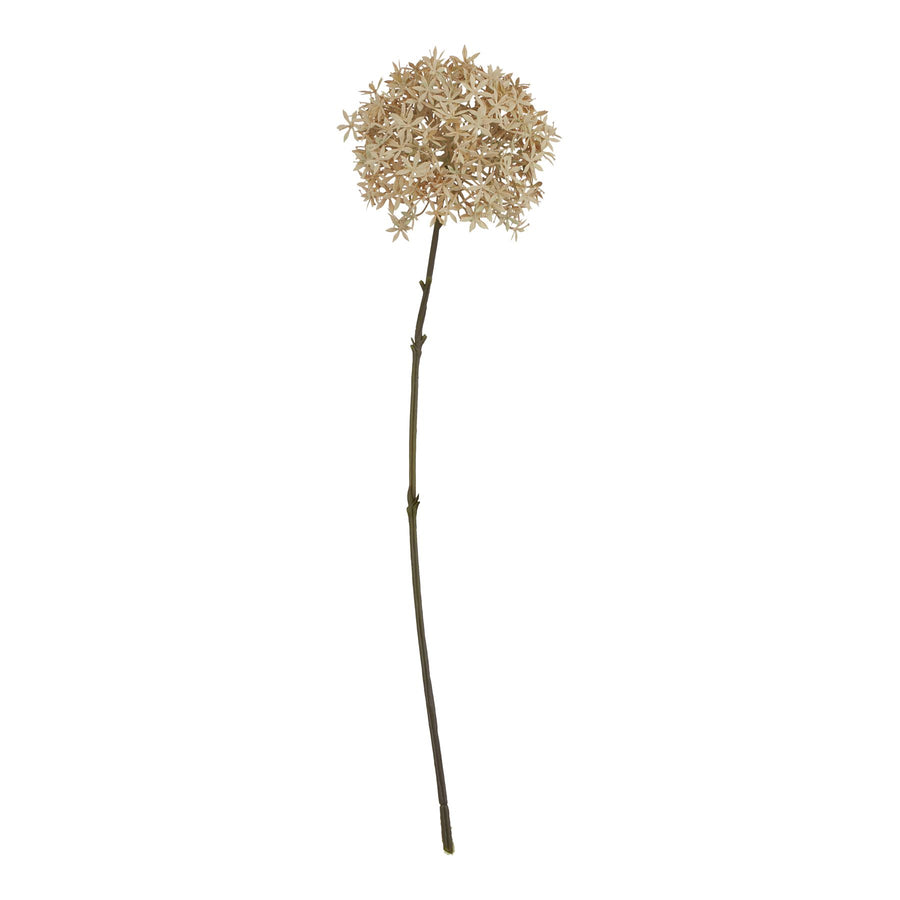 Coffee Allium Height 63 cm - Made From Durable Plastic by Hill Interiors at www.brixbailey.com