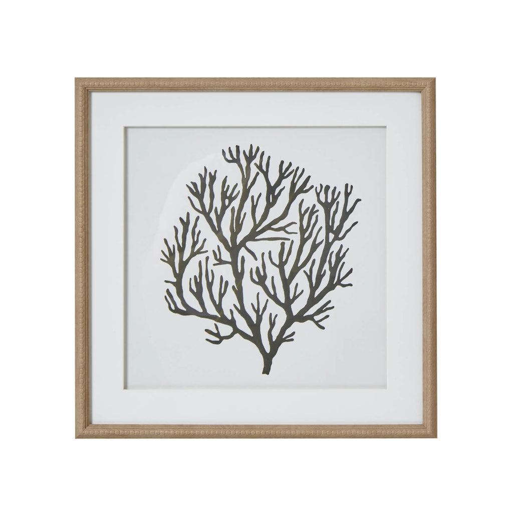 Handcrafted black coral artwork on white background in wooden frame, modern coastal wall decor by Sostter at brixbailey.com