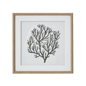 Handcrafted black coral artwork on white background in wooden frame, modern coastal wall decor by Sostter at brixbailey.com