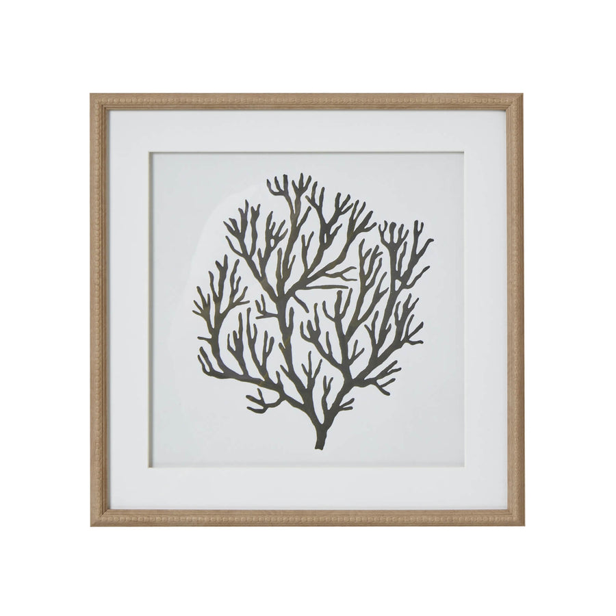 Handcrafted black coral artwork on white background in wooden frame, modern coastal wall decor by Sostter at brixbailey.com