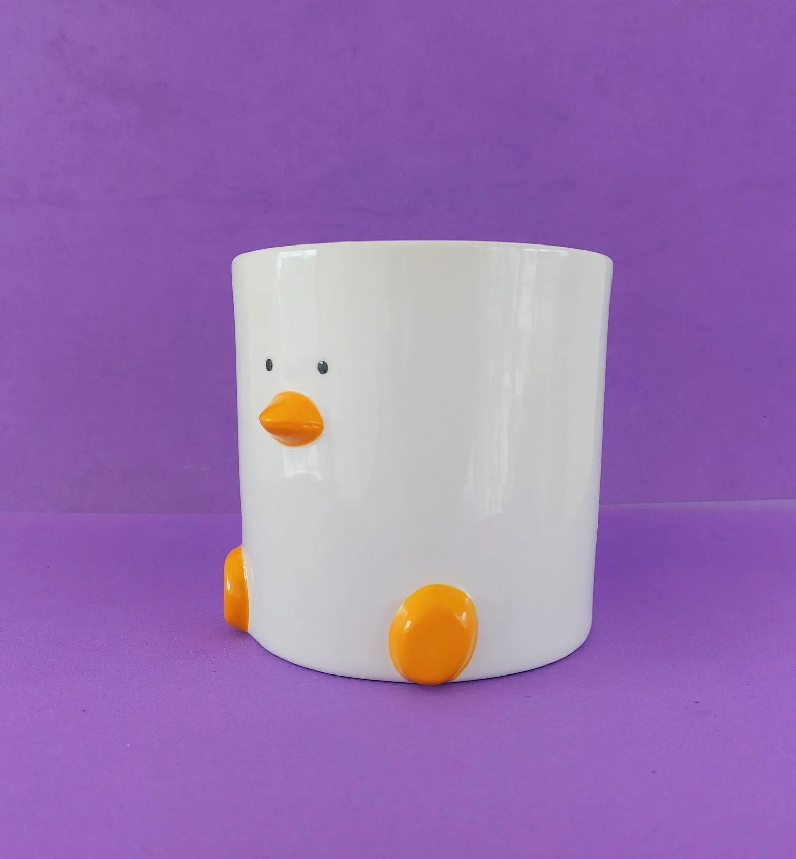 Duck Plant Pot (by Haus of Honk)