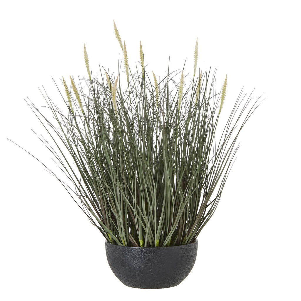 Lifelike faux fountain grass in natural green with feathery plumes, displayed in sleek black pot by Sostter at brixbailey.com