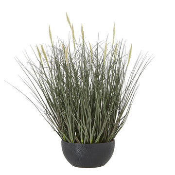 Lifelike faux fountain grass in natural green with feathery plumes, displayed in sleek black pot by Sostter at brixbailey.com