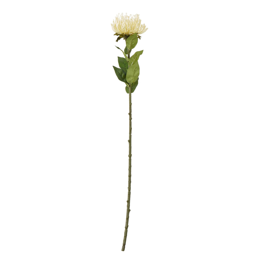 Cream Protea Lorea artificial stem with spherical bloom and lush foliage, soft cream color, 73cm tall for vases by Sostter at brixbailey.com