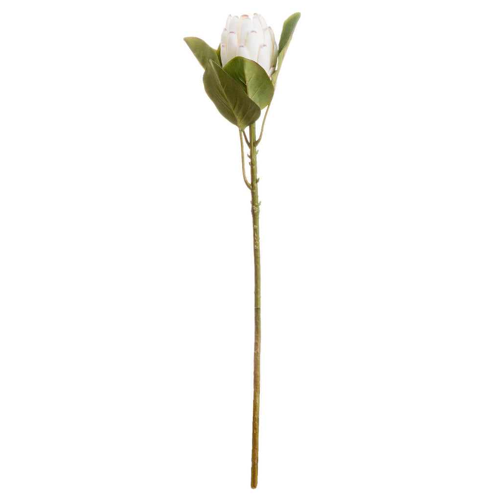 Faux white protea stem with hyper-realistic creamy petals, 67 cm tall, for elegant home decor arrangements  by Sostter at brixbailey.com