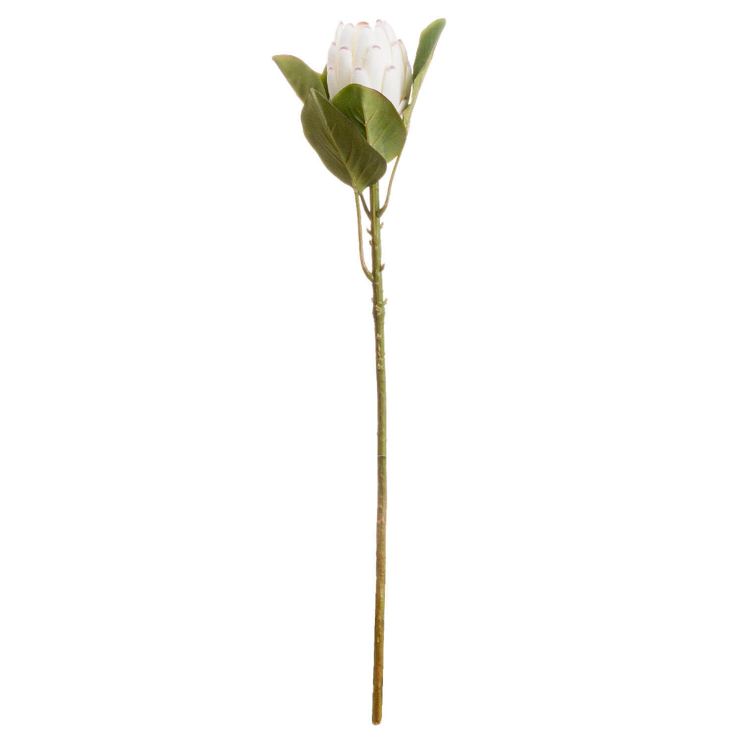 Faux white protea stem with hyper-realistic creamy petals, 67 cm tall, for elegant home decor arrangements  by Sostter at brixbailey.com