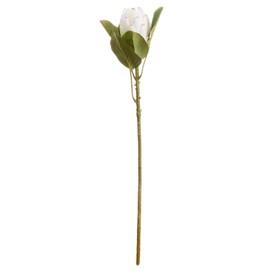 Faux white protea stem with hyper-realistic creamy petals, 67 cm tall, for elegant home decor arrangements  by Sostter at brixbailey.com