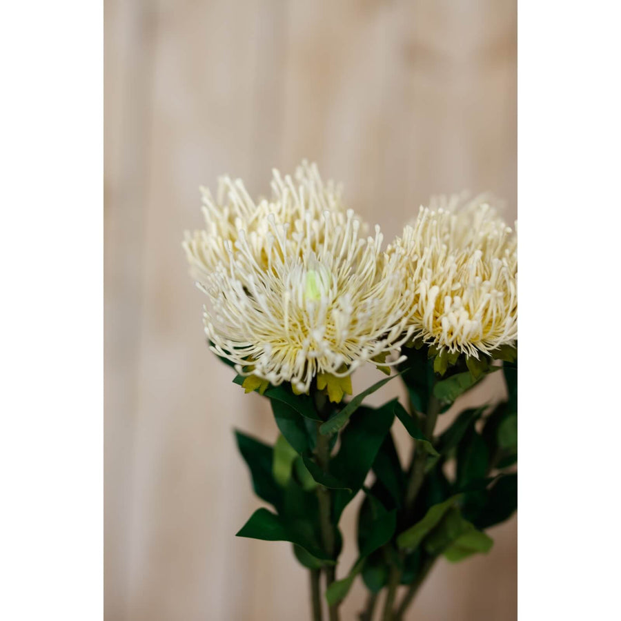 Cream Protea Lorea artificial stem with lifelike spherical bloom and lush foliage, 73cm tall, soft cream plastic floral decor by Sostter at brixbailey.com