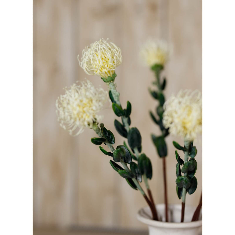 Cream artificial pincushion protea spray with realistic petals and foliage, 61cm tall, for elegant home decor by Sostter at brixbailey.com