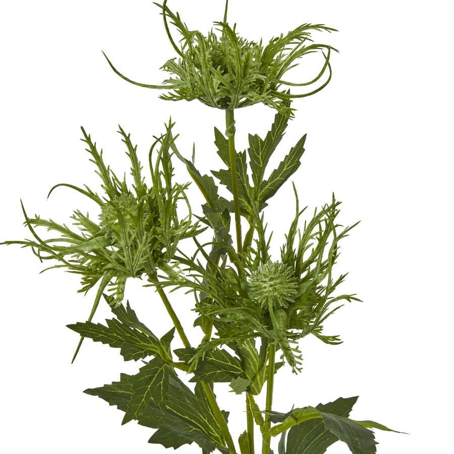 Lifelike sea holly spray with vibrant green blooms and spiny foliage, 67 cm tall, for coastal or rustic decor by Sostter at brixbailey.com