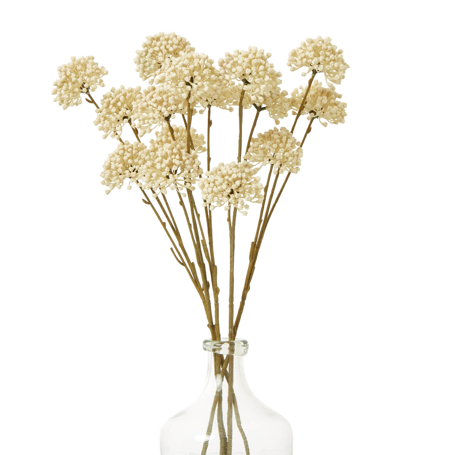 Cream allium spray with hyper-realistic blooms, 60cm bendable stems, soft cream hue for year-round floral decor by RoomLondon at brixbailey.com