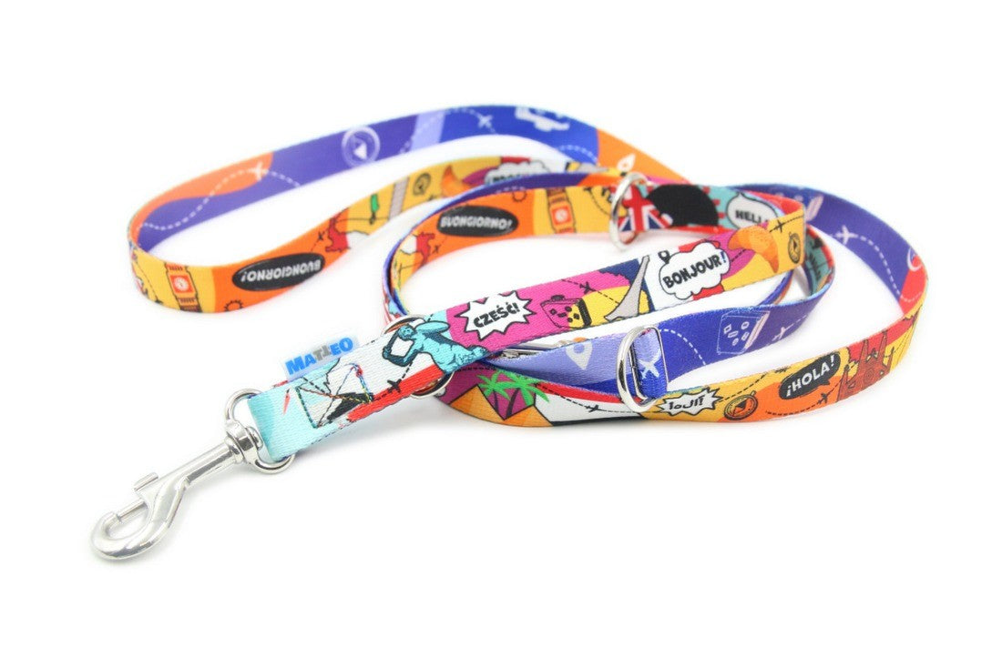 playful dog leash with eiffel tower and pyramid pattern in golden hour light