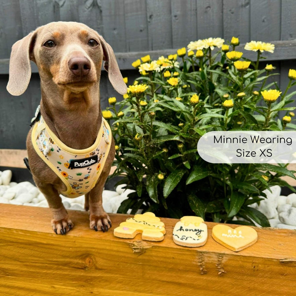 Adjustable Harness - Bee-utiful Summer