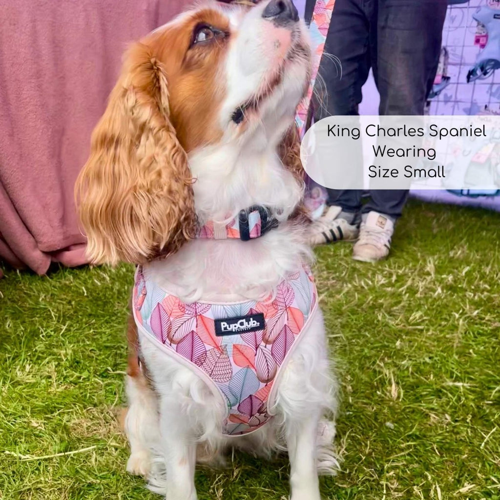 Adjustable Harness - Autumn Breeze