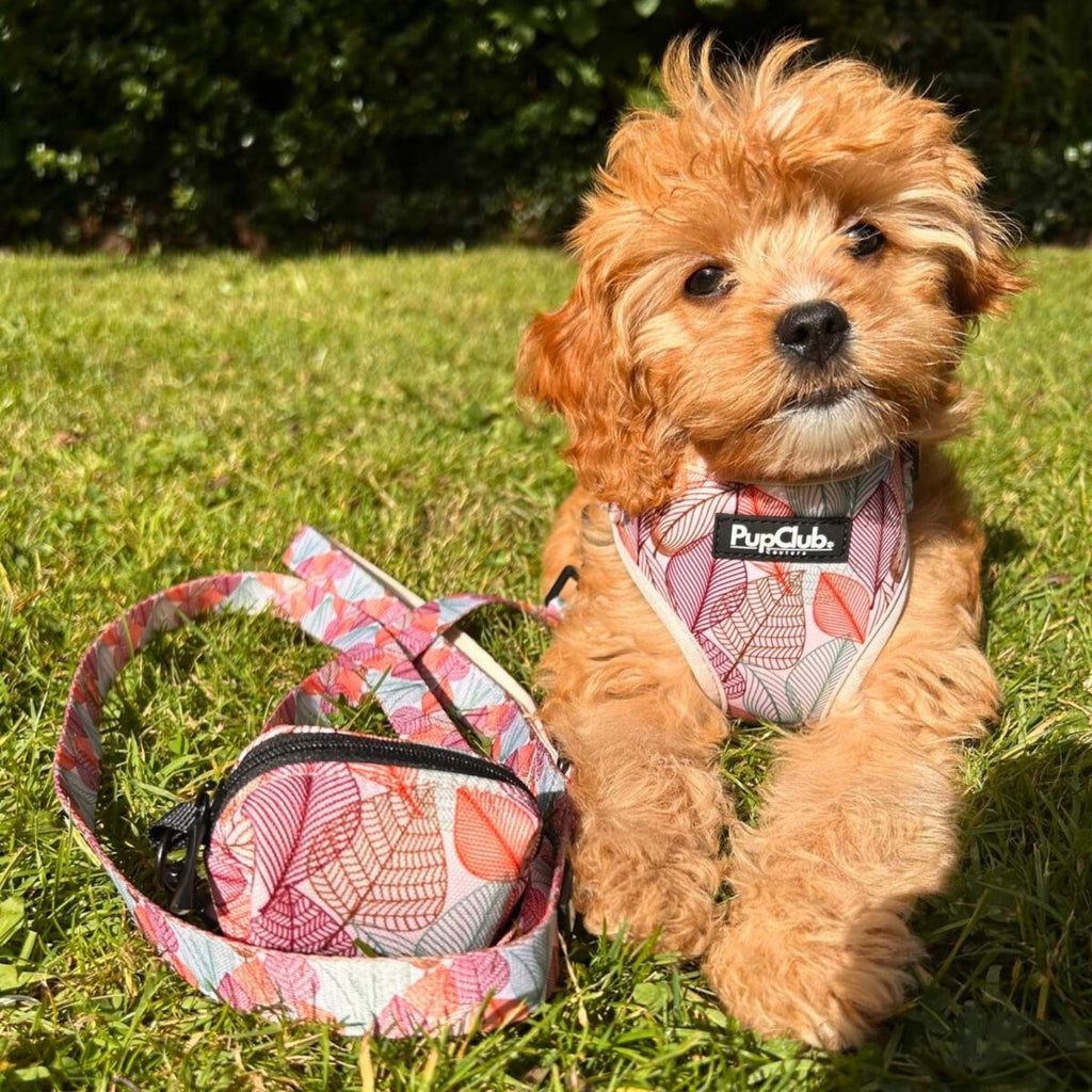 Poo Bag Holder - Autumn Breeze