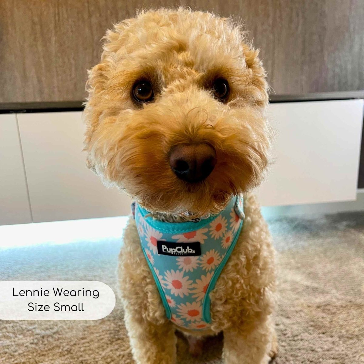 Adjustable Harness - Pastel Daisy