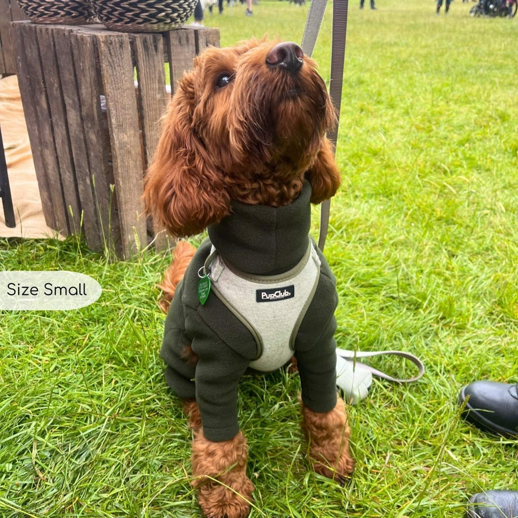 Tweed Adjustable Harness - Sage