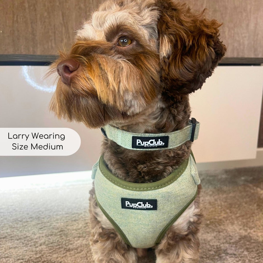 Tweed Adjustable Harness - Sage