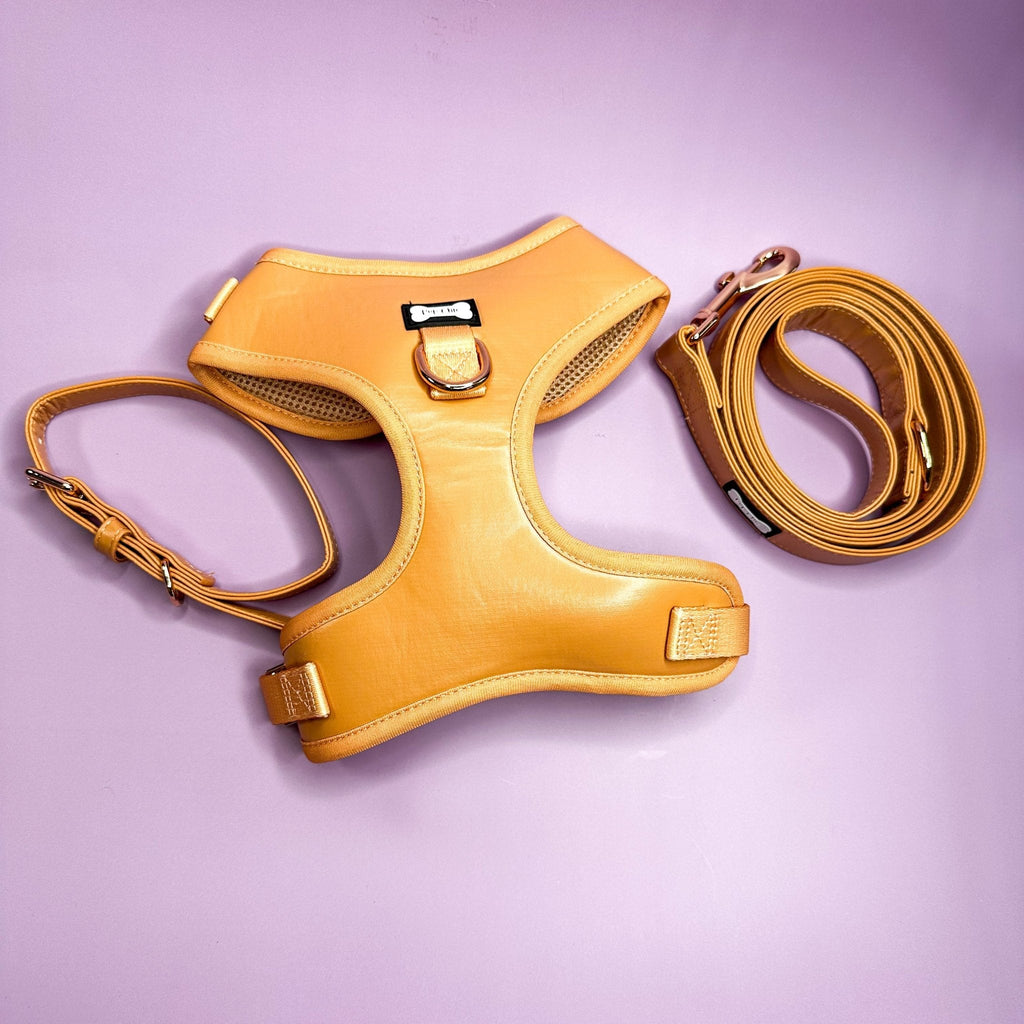 Vegan Leather Dog Collar in Camel with Gold Buckle