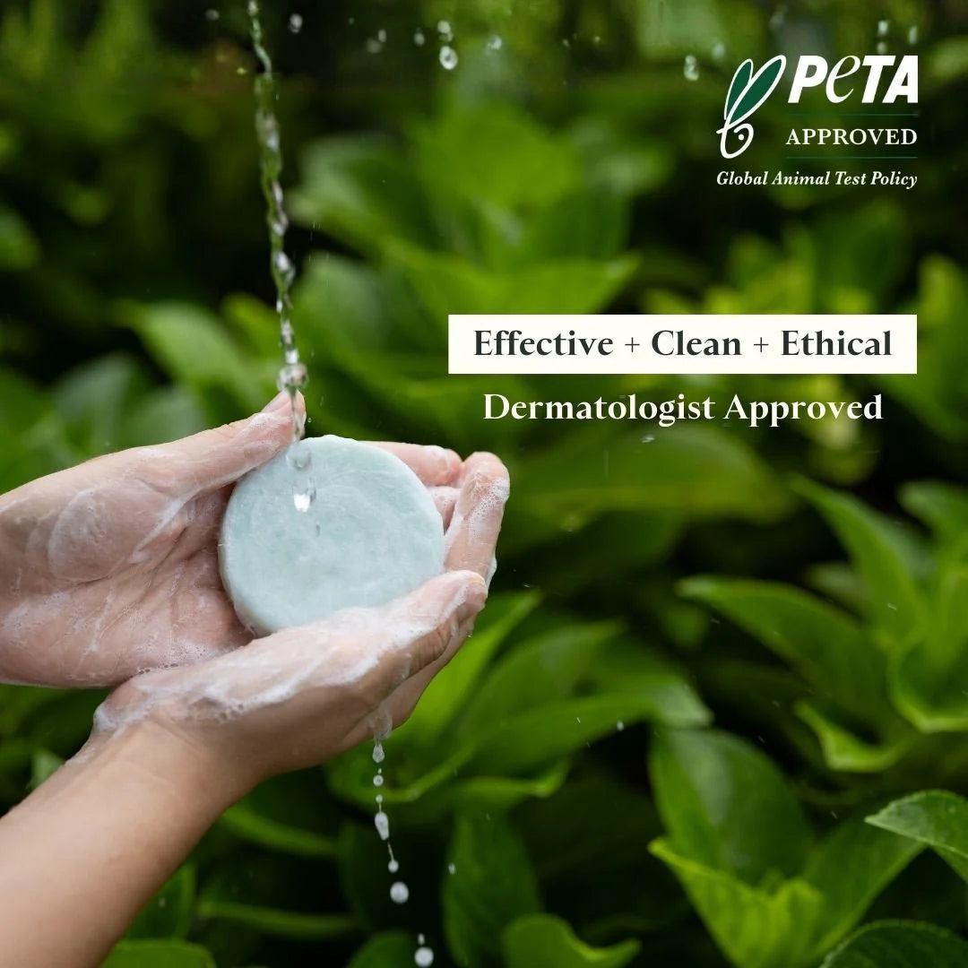 Aloe Vera Body Wash Bar with Travel Tin and Exfoliator