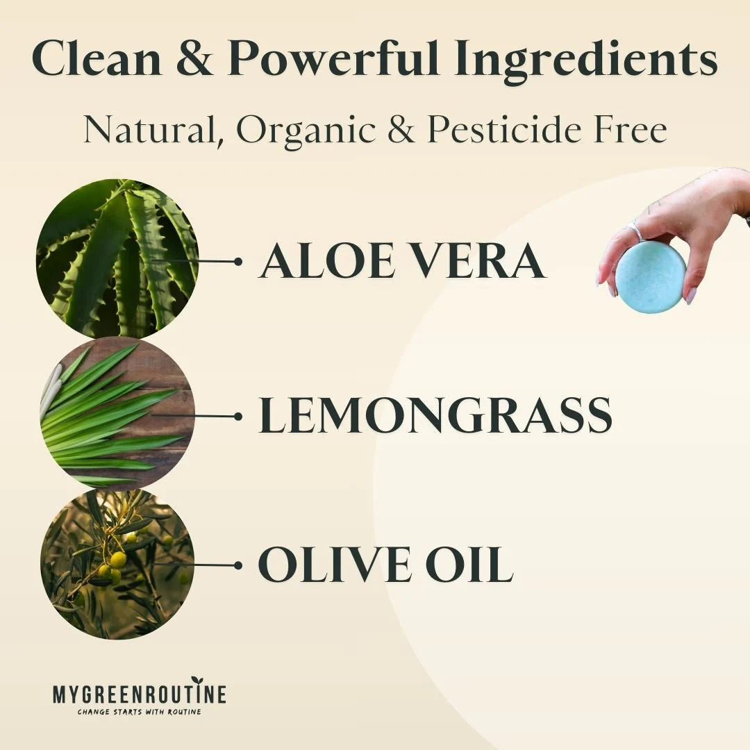 Aloe Vera Body Wash Bar with Travel Tin and Exfoliator